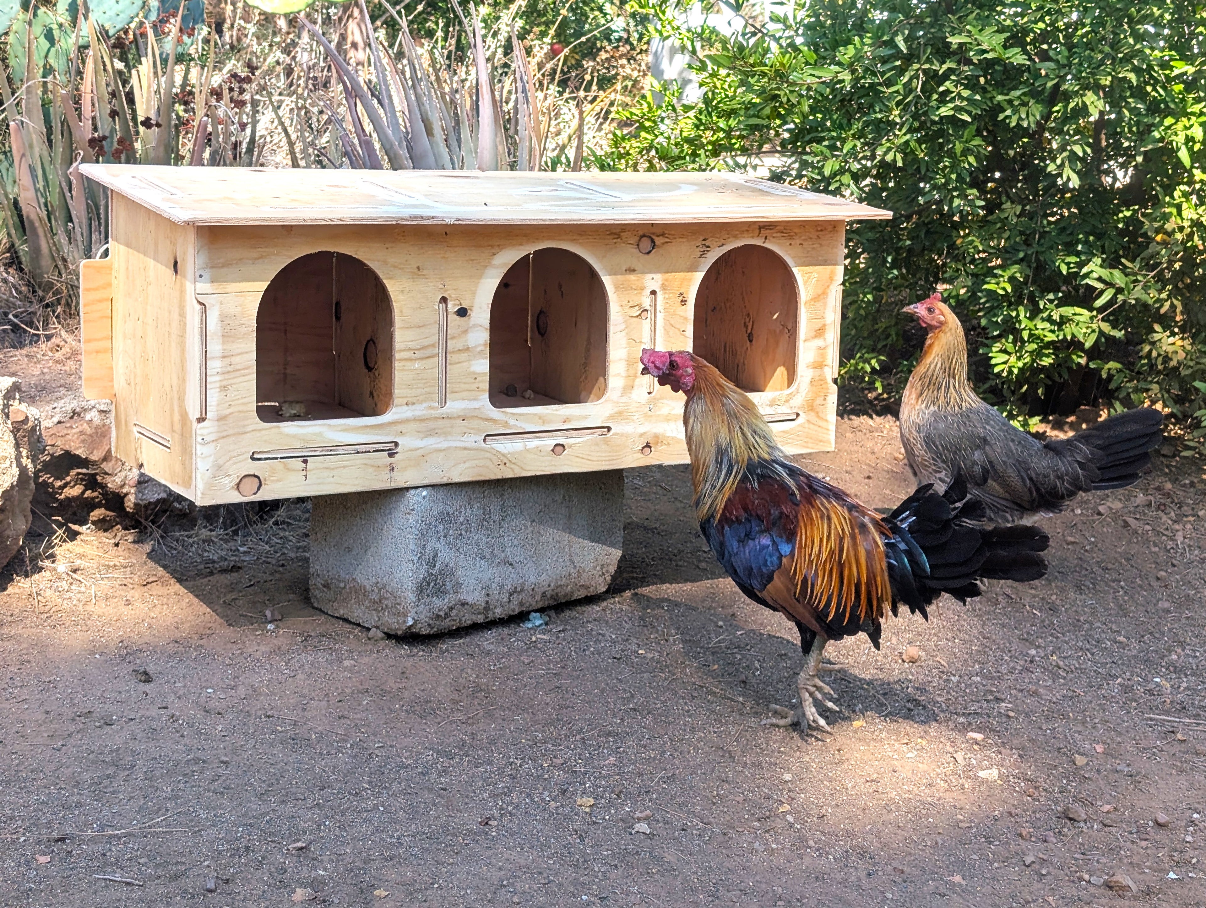 Jumbo 3-Hole Poultry Nesting Box Kit