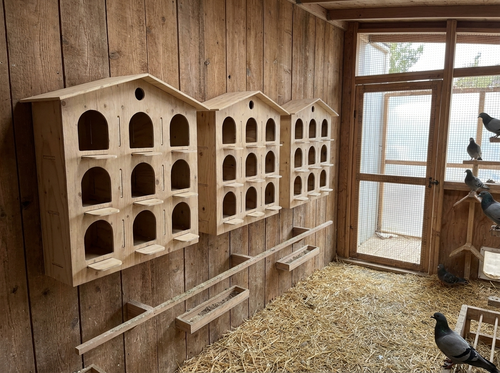 9-Hole Gable Roof Pigeon Nesting Box Kit