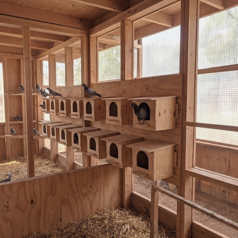 Slant roof nesting house kit shown from above