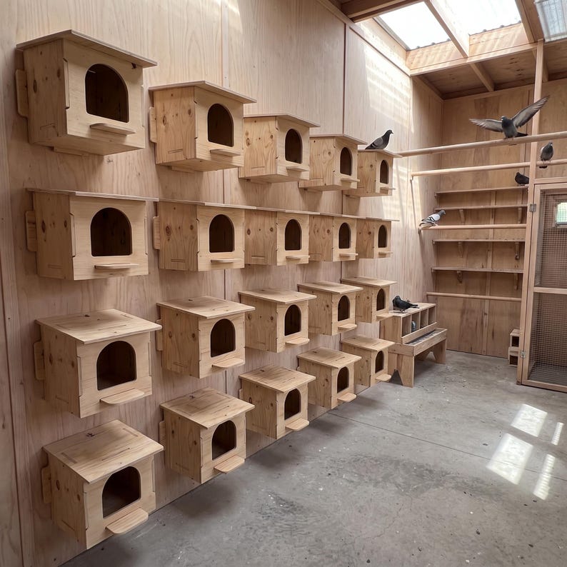 1 hole animal nesting house shown in use