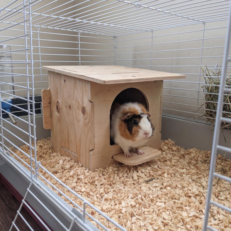 Enclosed nesting box interior cavity for breeding and egg laying
